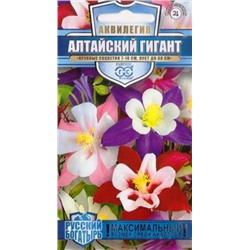 Аквилегия Алтайский гигант (Код: 84661)