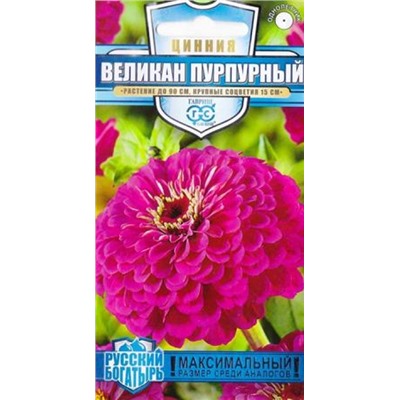 Цинния Великан пурпурный (Код: 84701)