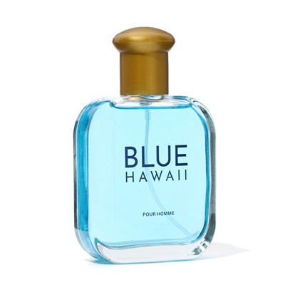 Парфюмерная вода мужская Men's Voyage Blue Hawaii, 100 мл (по мотивам Blue Seduction (A.Banderas)