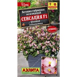 Бегония Сенсация Розовая F1 (Код: 86004)