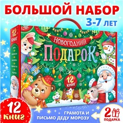 Набор «Новогодний подарок», 12 книг