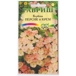 Вербена Персик и Крем (Код: 4398)