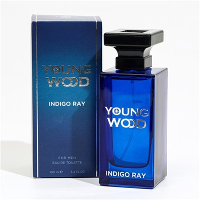 Туалетная вода мужская Young Wood "Indigo Ray", 100 мл