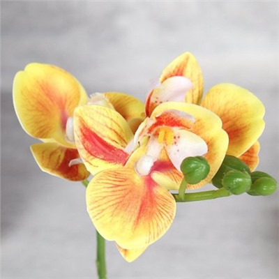 Цветочная композиция Орхидея 29 см / LM-1785 /уп 144/ (Желтый)