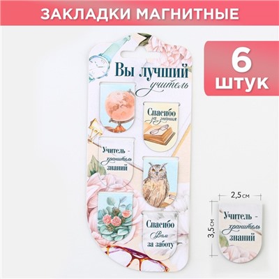 Закладки магнитные на подложке «Вы лучший учитель», 6 шт.