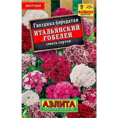 Гвоздика Итальянский гобелен (смесь) лидер (Код: 90080)