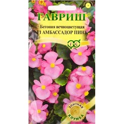 Бегония Амбассадор Пинк (Код: 84824)