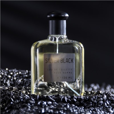 Туалетная вода мужская Colour ssncs Silvr Black, 100 мл (по мотивам Egoiste Platinum (Chanel)