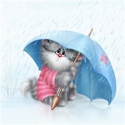 Картина по номерам 30х40 «Кот под дождем»