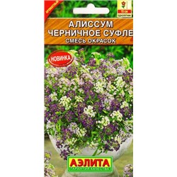 Алиссум Черничное суфле смесь (Код: 82939)