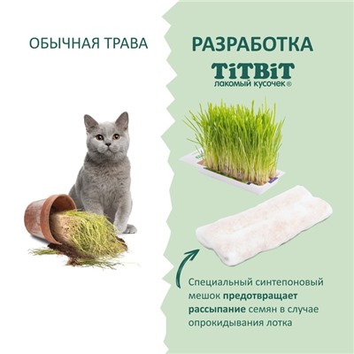 Трава TiTBiT для кошек, ячмень, 50 г