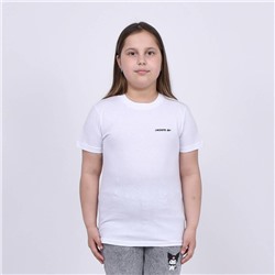 Футболка Lacoste арт 7737