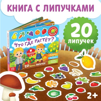 Книжка с липучками «Что где растёт?» 12 стр.