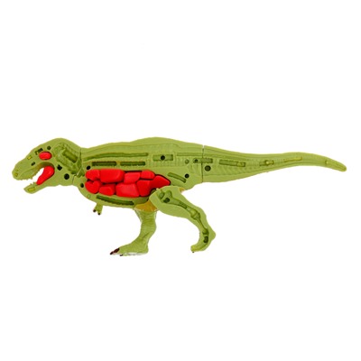 Набор для опытов «Диномир: Тираннозавр», строение тела динозавра