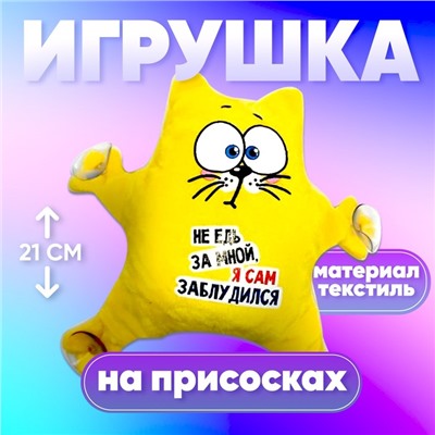 Автоигрушка «Не едь за мной — я сам заблудился», кот, на присосках