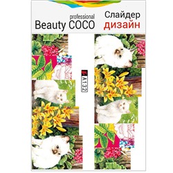 Beauty COCO, Слайдер-дизайн A-132