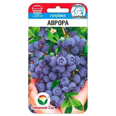 Голубика Аврора (Код: 92063)