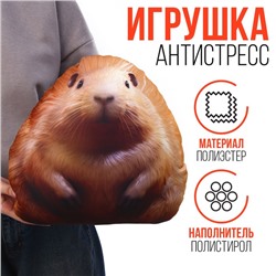 Игрушка антистресс "Морская свинка"