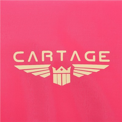 Термосумка Cartage Т-22, розовый, 10 л, 26х19х19 см