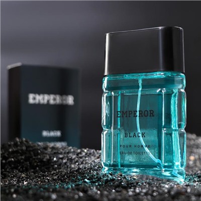 Туалетная вода мужская Emperor Black, 100 мл (по мотивам Sauvage (C.Dior)