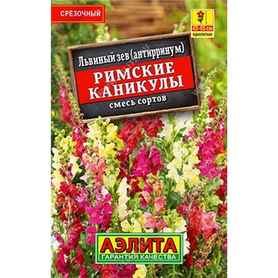 Львиный зев Римские каникулы (смесь) (Код: 8591)