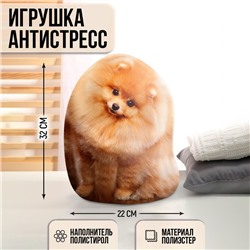 Игрушка антистресс, собака «Шпиц»