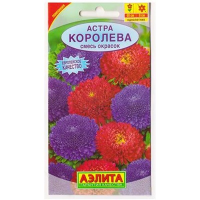 Астра Королева (Код: 68035)