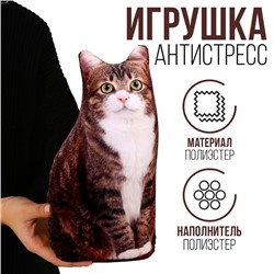 Игрушка антистресс, кот «Васька»