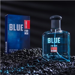 Парфюмерная вода мужская Red Label Blue, 100 мл (по мотивам Blue Label (Givenchy)