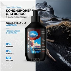 Кондиционер для волос SCANDINAVIA AROMA черный шторм с ментолом, 600 мл