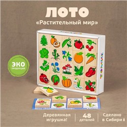 Лото «Растительный мир»