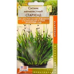 Ситник мечелистный Стархеад (Код: 82434)