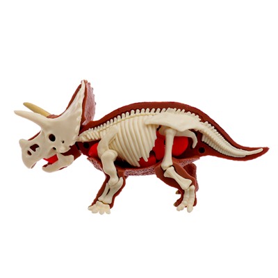 Набор для опытов «Диномир: Трицератопс», строение тела динозавра