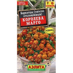 Бархатцы Королева Марго (Код: 90978)