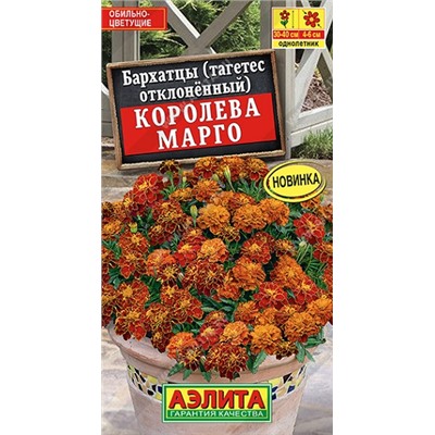 Бархатцы Королева Марго (Код: 90978)