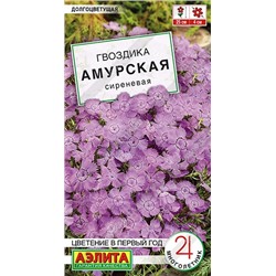 Гвоздика Амурская сиреневая (Код: 92419)