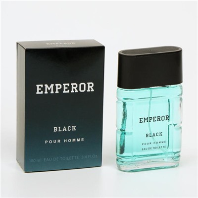 Туалетная вода мужская Emperor Black, 100 мл (по мотивам Sauvage (C.Dior)