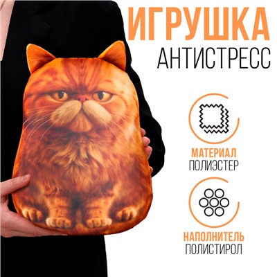 Игрушка антистресс "Рыжий кот"