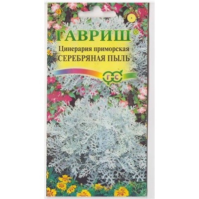 Цинерария Серебряная пыль (Код: 70968)