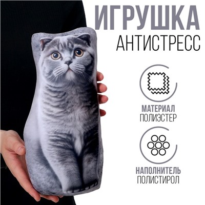 Антистресс игрушка, кот «Шотландец»