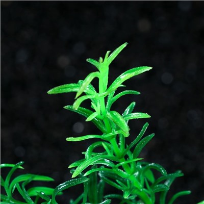 Растение искусственное аквариумное, 4 х 20 см, зеленое