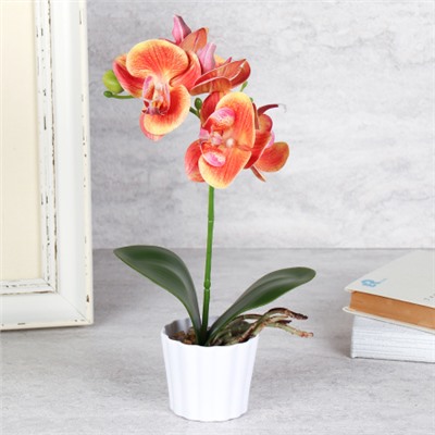 Цветочная композиция Орхидея 30 см / LM-790 /уп 96/