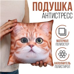 Подушка антистресс "Кот"