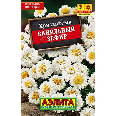 Хризантема Ванильный зефир (лидер) (Код: 91932)