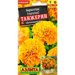 Бархатцы Танжер (Код: 85140)