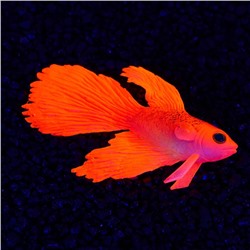 Декор для аквариума "Бойцовая рыбка" силиконовая, с неоновым эффектом, 8 х 1,5 х 5,2 см, кра   71088