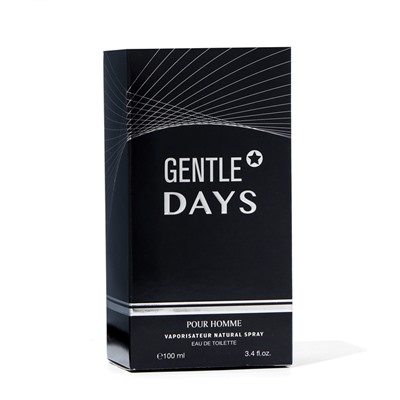 Туалетная вода мужская Gentle Days, 100 мл