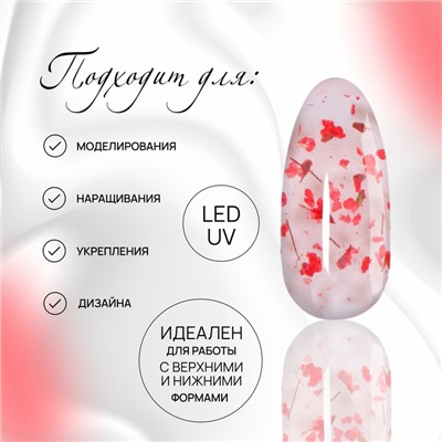 Гель для наращивания, с сухоцветами, 3-х фазный, 9 гр, LED/UV, цвет прозрачный/красный