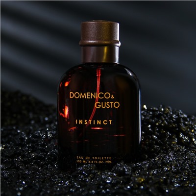 Туалетная вода мужская Domenico&Gusto Instinct, 100 мл