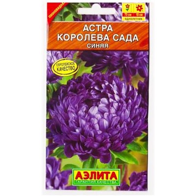 Астра Королева сада синяя (Код: 79836)